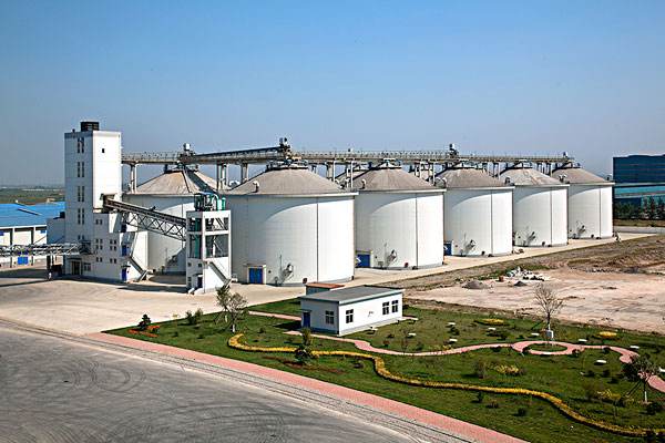 timg (3).jpg timg (3).jpg