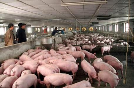 1595813846980196.png 圖片.png